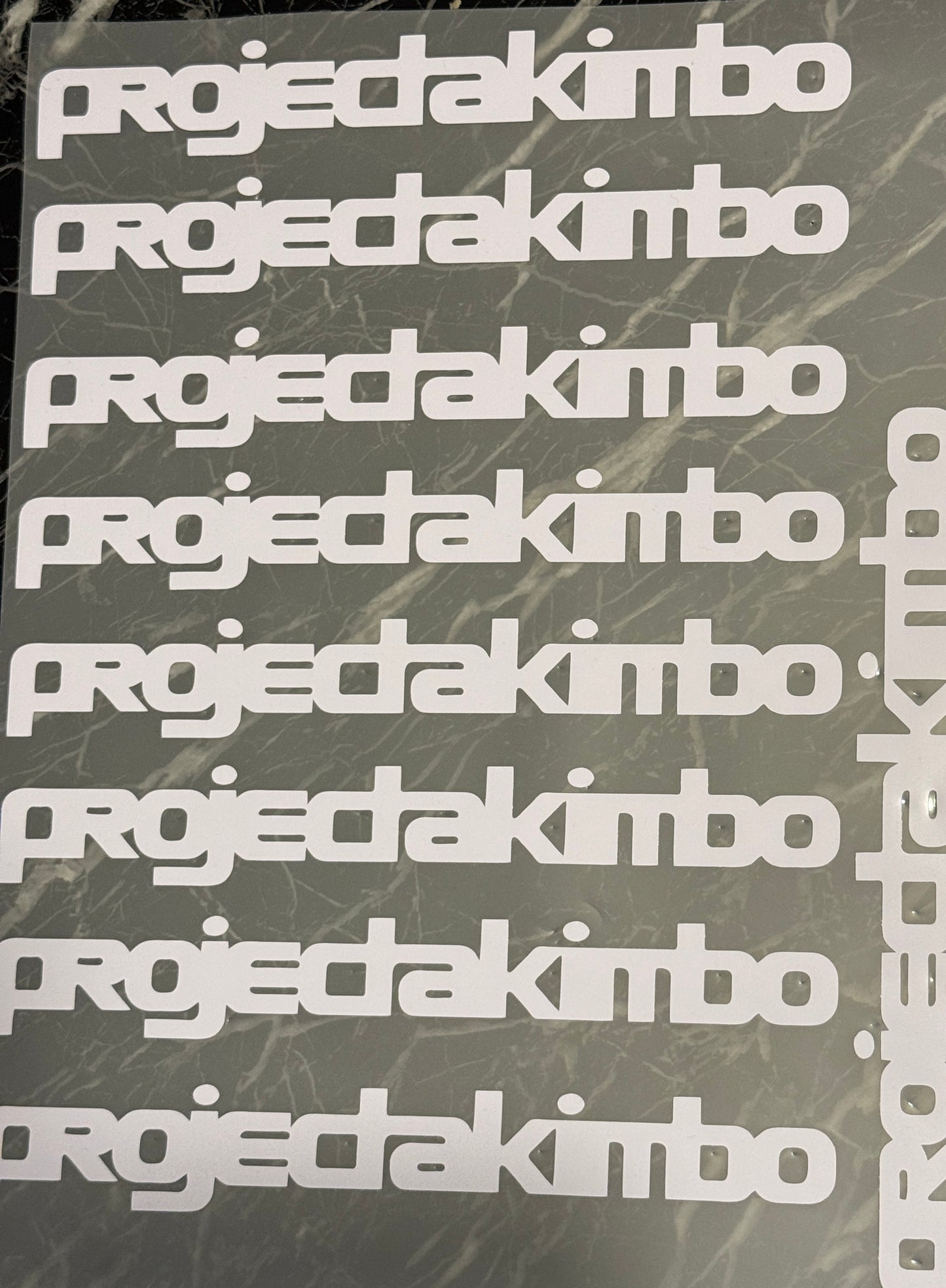 PROJECT AKIMBO STICKER